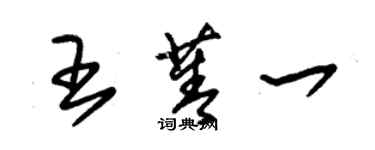朱錫榮王菁一草書個性簽名怎么寫