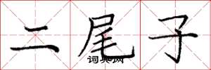 龐中華二尾子楷書怎么寫
