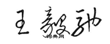 駱恆光王毅馳草書個性簽名怎么寫