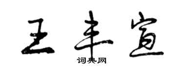 曾慶福王豐宣行書個性簽名怎么寫