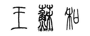 陳墨王蘇和篆書個性簽名怎么寫