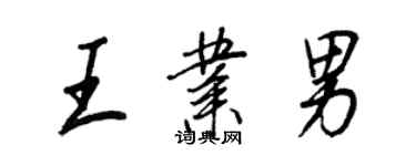 王正良王業男行書個性簽名怎么寫