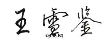 駱恆光王雪鑒行書個性簽名怎么寫