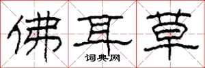 柯春海佛耳草隸書怎么寫