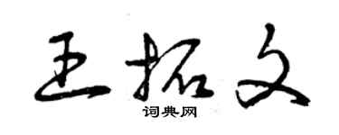 曾慶福王拓文草書個性簽名怎么寫