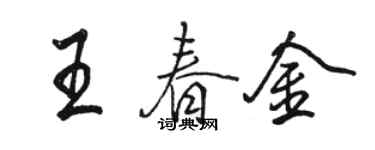 駱恆光王春金行書個性簽名怎么寫