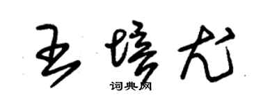 朱錫榮王培尤草書個性簽名怎么寫