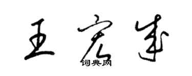 梁錦英王宏成草書個性簽名怎么寫