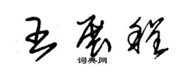 朱錫榮王展程草書個性簽名怎么寫