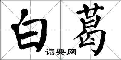 翁闓運白葛楷書怎么寫