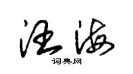 朱錫榮汪海草書個性簽名怎么寫