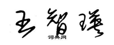 朱錫榮王智瑛草書個性簽名怎么寫