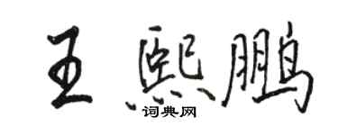 駱恆光王熙鵬行書個性簽名怎么寫