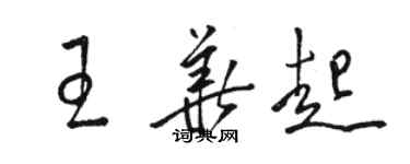 駱恆光王華起草書個性簽名怎么寫