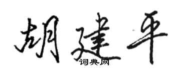 駱恆光胡建平行書個性簽名怎么寫