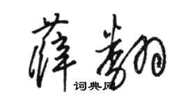 駱恆光薛翻草書個性簽名怎么寫