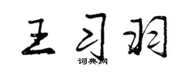 曾慶福王習羽行書個性簽名怎么寫