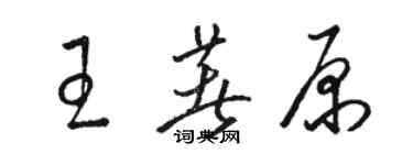 駱恆光王著原草書個性簽名怎么寫