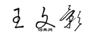 駱恆光王文影草書個性簽名怎么寫