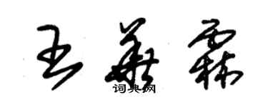 朱錫榮王華霖草書個性簽名怎么寫