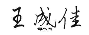 駱恆光王成佳行書個性簽名怎么寫