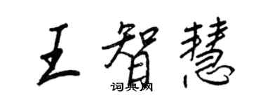 王正良王智慧行書個性簽名怎么寫
