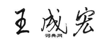 駱恆光王成宏行書個性簽名怎么寫