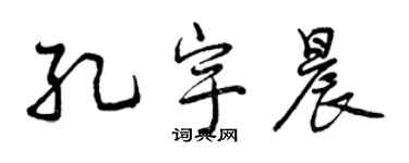 曾慶福孔宇晨行書個性簽名怎么寫