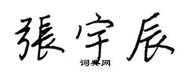 王正良張宇辰行書個性簽名怎么寫