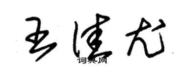 朱錫榮王佳尤草書個性簽名怎么寫