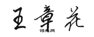駱恆光王章花行書個性簽名怎么寫