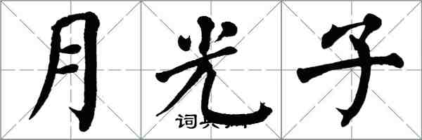 翁闓運月光子楷書怎么寫
