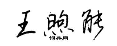 王正良王煦能行書個性簽名怎么寫