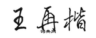 駱恆光王再楷行書個性簽名怎么寫
