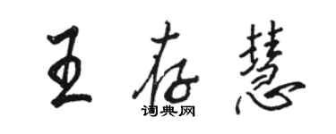 駱恆光王存慧行書個性簽名怎么寫