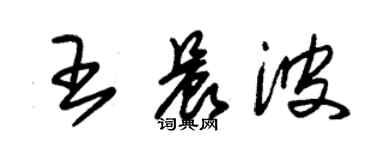 朱錫榮王晨波草書個性簽名怎么寫