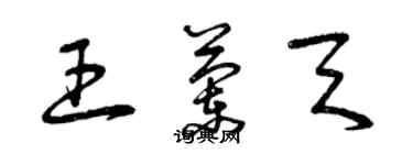 曾慶福王蘭天草書個性簽名怎么寫