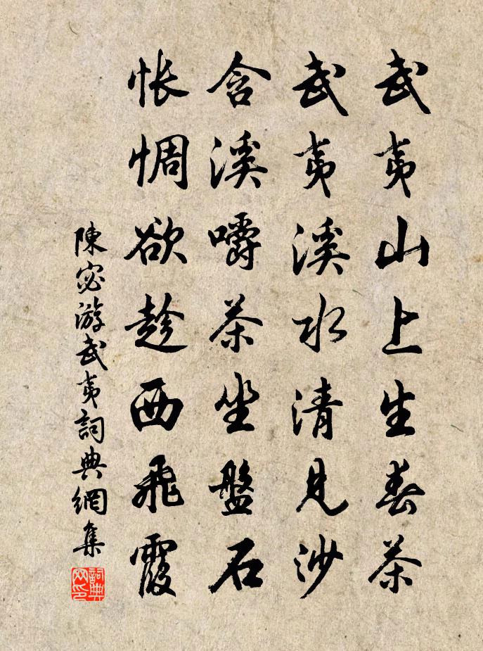 陳宓游武夷書法作品欣賞