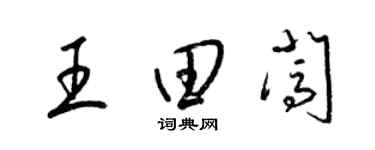 梁錦英王田闖草書個性簽名怎么寫