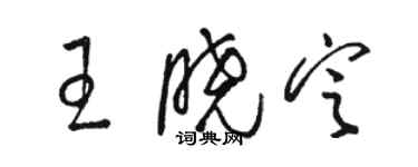 駱恆光王曉定草書個性簽名怎么寫