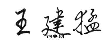 駱恆光王建猛行書個性簽名怎么寫