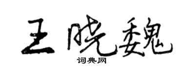曾慶福王曉魏行書個性簽名怎么寫