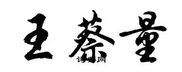 胡問遂王蔡量行書個性簽名怎么寫