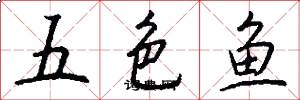 五色魚怎么寫好看