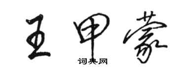 駱恆光王甲蒙行書個性簽名怎么寫