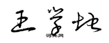 曾慶福王學地草書個性簽名怎么寫