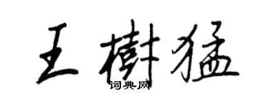 王正良王樹猛行書個性簽名怎么寫