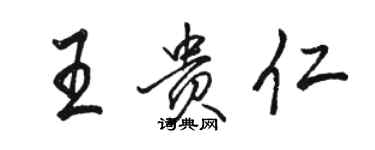 駱恆光王貴仁行書個性簽名怎么寫