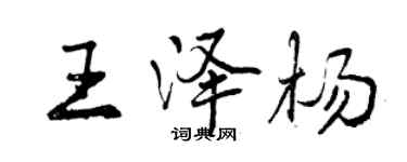 曾慶福王澤楊行書個性簽名怎么寫
