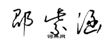 梁錦英邵紫涵草書個性簽名怎么寫